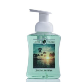 Tropical Daydream  Gentle Foaming Hand Soap