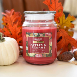 Apples & Acorns Candle-lite Everyday 510 g