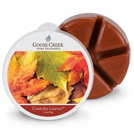 Crunchy Leaves Goose Creek 1 Waxmelt blokje