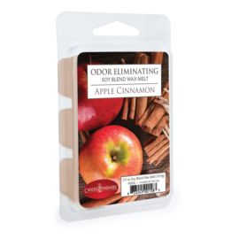 Candle Warmers® Apple Cinnamon Odor Eleminating  Wax Melt