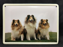 Collie  Vintage Muurbordje