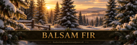 Balsam Fir  geurkaars Cheerful Candle 2 lonten 680 gram