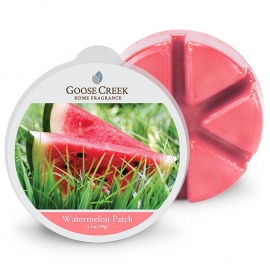 Watermelon Patch Goose Creek   Candle Waxmelt