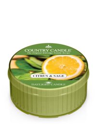 Citrus  & Sage  Country Candle Daylight