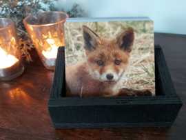 Onderzetter Jonge Vos Dibond 10x10 cm