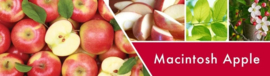 Macintosh Apple ( Label Rise & Shine ) Geurkaars  Goose Creek Artwork  Candle  150 Branduren