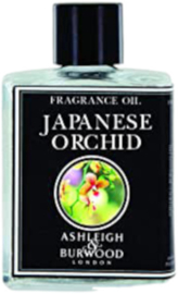 Japanese Orchid  Ashleigh & Burwood Geurolie