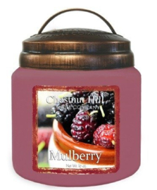 Mulberry Chestnut Hill  2 wick Candle 450 Gr