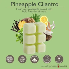 Pineapple Cilantro  Candle Warmers® Wax Melt 70-gram