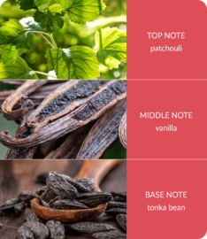 True Enchantment Heart & Home® Ellipse geurkaars 220 g