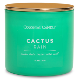 Cactus Rain Colonial Candle Pop Of Color sojablend geurkaars  411 g