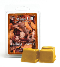 Falling Leaves Chestnut Hill Candles Soja Wax Melt