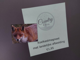 Magneet vos 6x8 cm – landelijke natuur magneet Waterleidingduinen