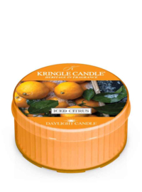 Iced Citrus Kringle Candle Daylight
