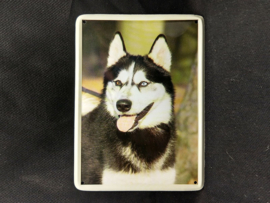 Siberische Husky   Vintage Muurbordje metaal