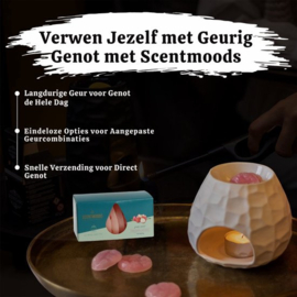 Scentmoods Winterwoods 12 st Warme wintergeur vol sfeer