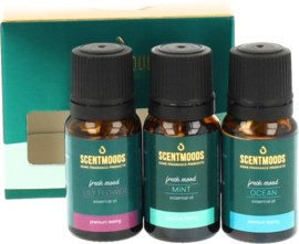 ScentMoods Giftset Fresh Mood 3x10ml | Essentiële oliën