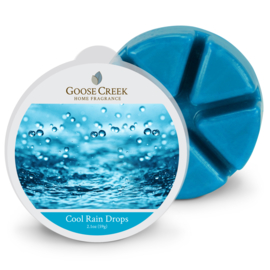 Cool Rain Drops Goose Creek  1 Waxmelt blokje