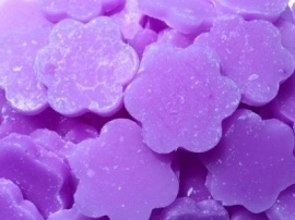 Parma Violet Little Hottie