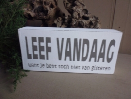 Leef vandaag