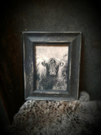 Fotolijst antique black L met afbeelding hooglander