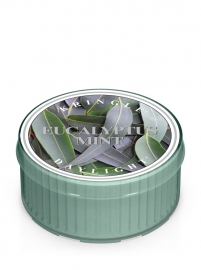 Eucalyptus Mint Kringle Candle Daylight