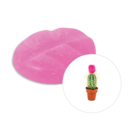 Scentchips® Cactus Flower