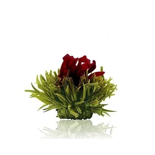 Cherry theebloem – Creano groene thee met kersensmaak