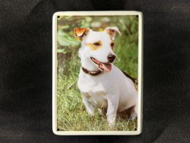 Jack Russell Terrier  Vintage Muurbordje