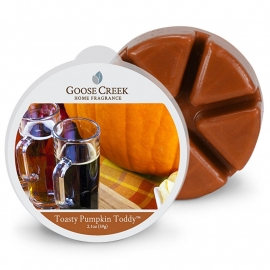 Toasty Pumpkin Toddy Goose Creek  Candle 1 Waxmelt blokje