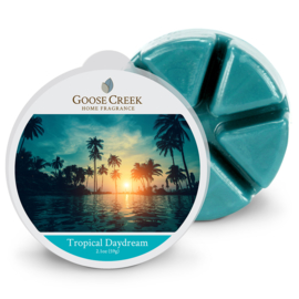 Tropical Daydream Goose Creek  Candle 1 Waxmelt blokje