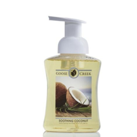 Soothing Coconut  Gentle Foaming Hand Soap