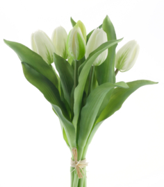 Real Touch Lisse tulip bundle Sally x7 cream 30cm