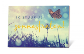 Ik stuur je zonnestralen! incl envelop en zakje bloemzaden