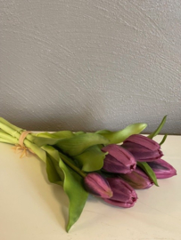 Tulpen Real Toch Eliza Purple Rain Purple 7 stelen 31cm