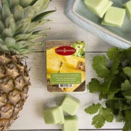 Pineapple Cilantro  Candle Warmers® Wax Melt 70-gram