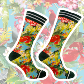 Sock my Feet Tropical Birds sokken mt 43-46