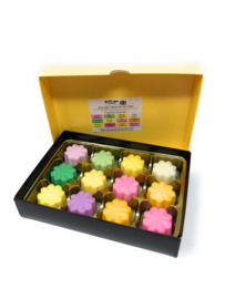 Busy Bee Wax Melts Selectie Kadobox "Spring"