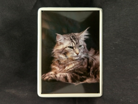 Maine Coon  Vintage Muurbordje