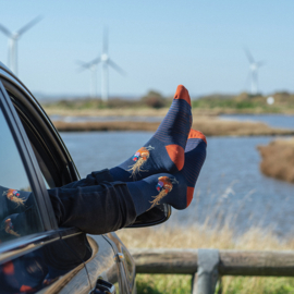 Bamboe heren sokken ‘Ready For My Close Up’ fazant – Wrendale Designs