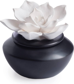 Airomé White Flower, porseleinen passieve etherische olie diffuser (met 15 ml pepermunt etherische olie)