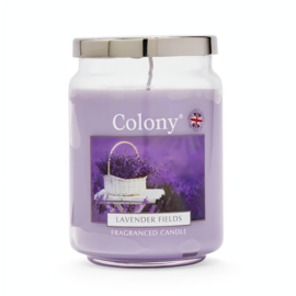 Colony Geurkaars Large Lavender Fields – 100 uur