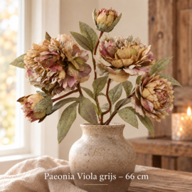 Real Touch  Kunstbloem Paeonia Viola grijs 66 cm 