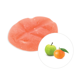 Scentchips® Guava Tangerine