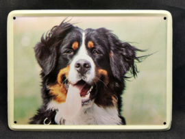 Berner Sennenhond Vintage Muurbordje metaal