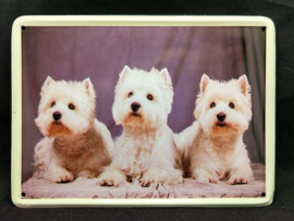 West Highland White Terrier.  Vintage Muurbordje metaal