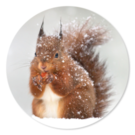 Magneet  Eekhoorn in de sneeuw 5 cm