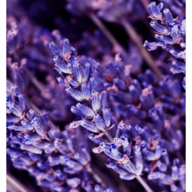 Instint Yodeyma Paris Eau de Parfum 100 ml.