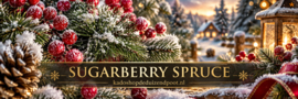 Sugarberry Spruce geurkaars Cheerful Candle 680 g – 2 lonten