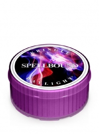 Spellbound  Kringle Candle Daylight